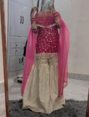 Contrast Garara / Palazzo Suit Set in Crunchy Silk with Heavy Embroidery & Butterfly Net Dupatta - Image 5