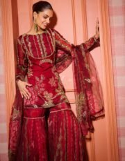 Soft Organza Mirror Work Sharara Suit Set with Sequence Embroidery – Ready to Wear (Free Shipping) - Image 7