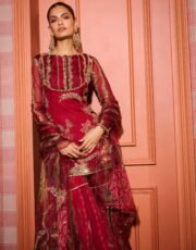Soft Organza Mirror Work Sharara Suit Set with Sequence Embroidery – Ready to Wear (Free Shipping) - Image 4
